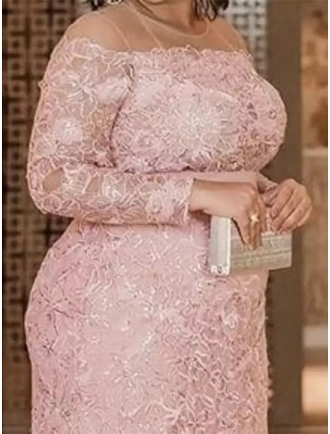 Mother of the Bride Dresses Plus Size Curve Hide Belly Wedding Guest Party Elegant Illusion Neck Floor Length Lace Long Sleeve with Solid Color