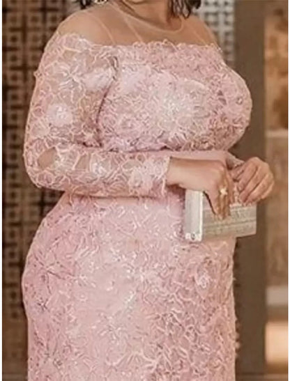 Mother of the Bride Dresses Plus Size Curve Hide Belly Wedding Guest Party Elegant Illusion Neck Floor Length Lace Long Sleeve with Solid Color